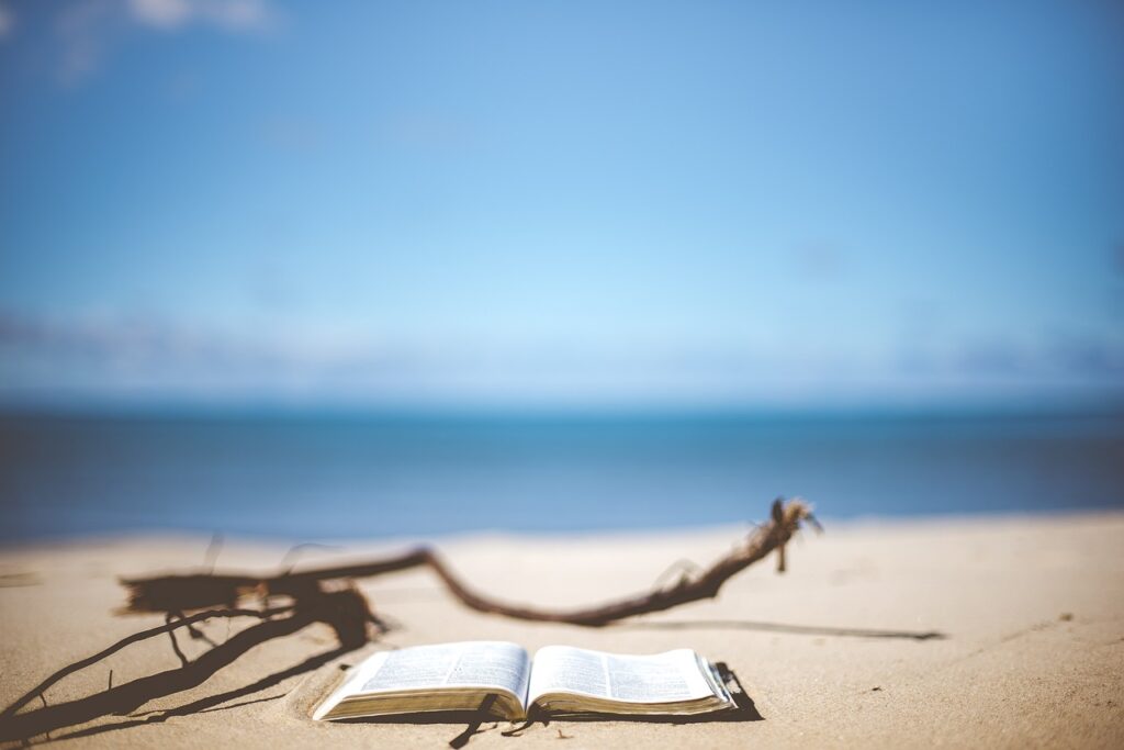 beach, book, reading